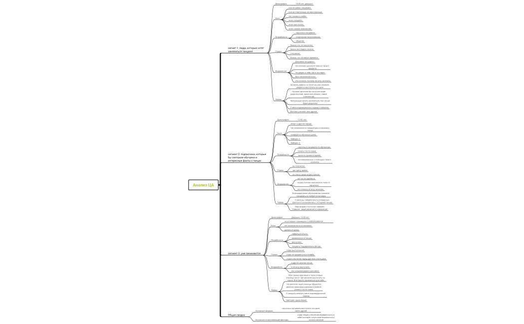 Анализ ЦА (1)-220822101753