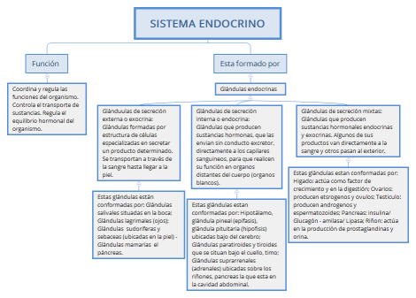 SISTEMA ENDOCRINO