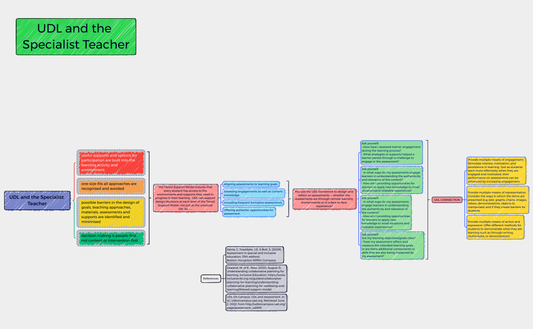 UDL and the Specialist Teacher
