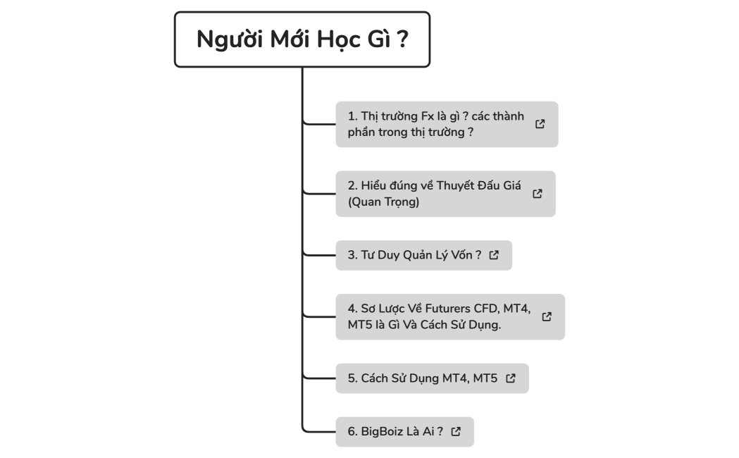 Người Mới Học Gì 