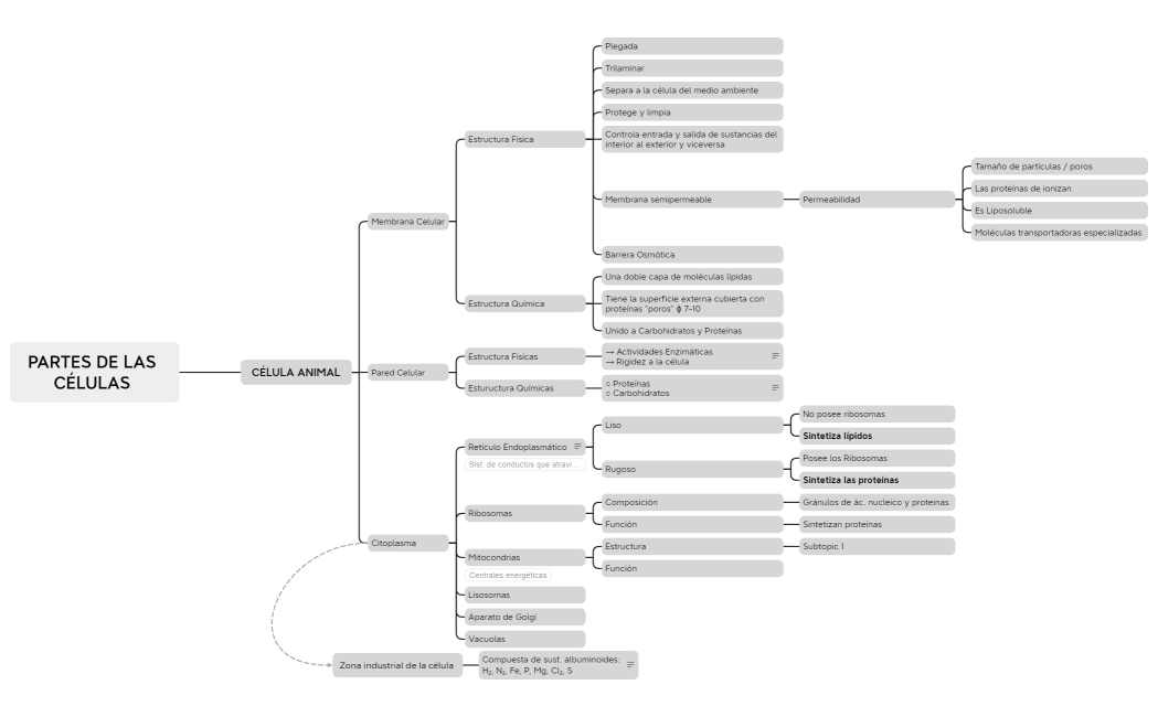 PARTES DE LAS CÉLULAS 