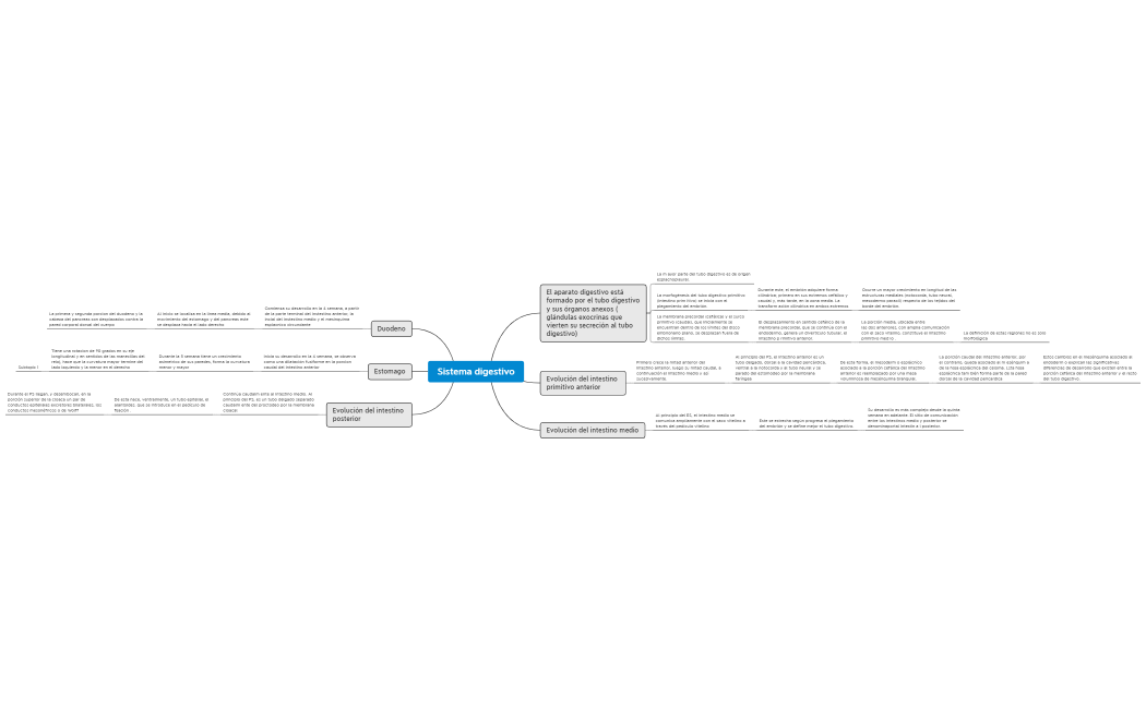 desarrollo del sistema digestivo