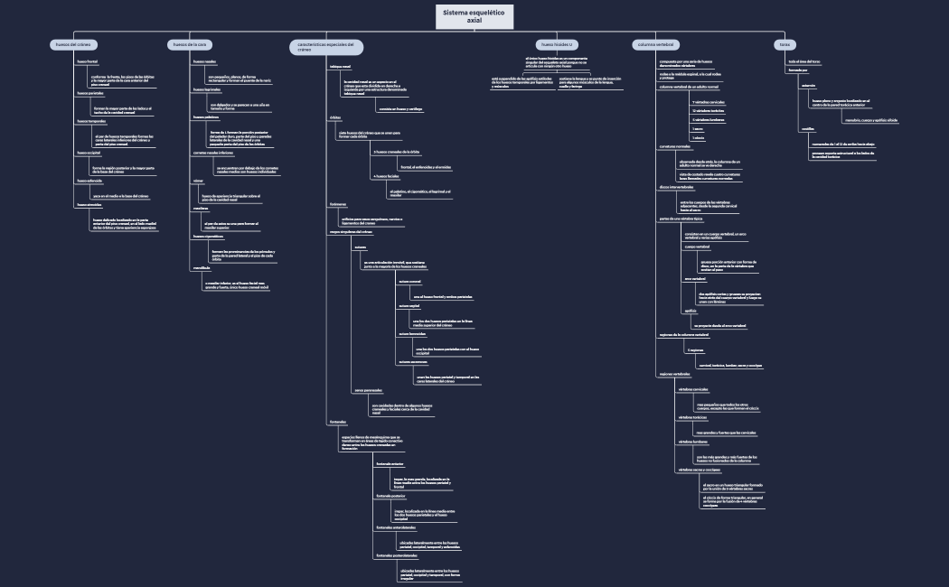 Sistema esquelético axial