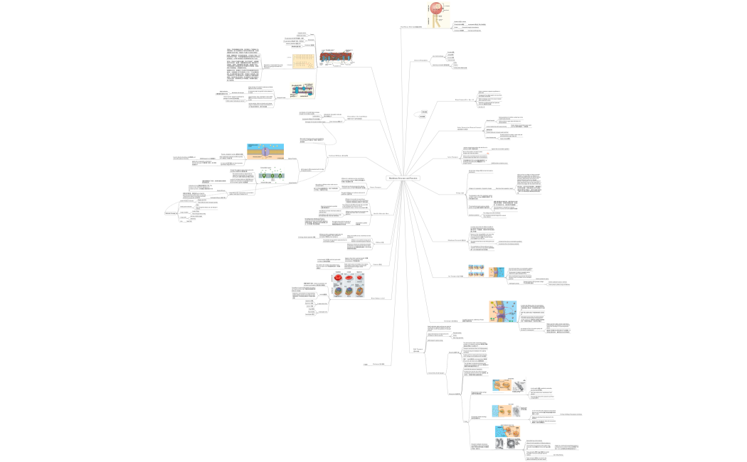Membrane Structure and Function