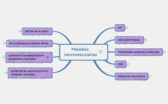 Maladies neurovasculaires