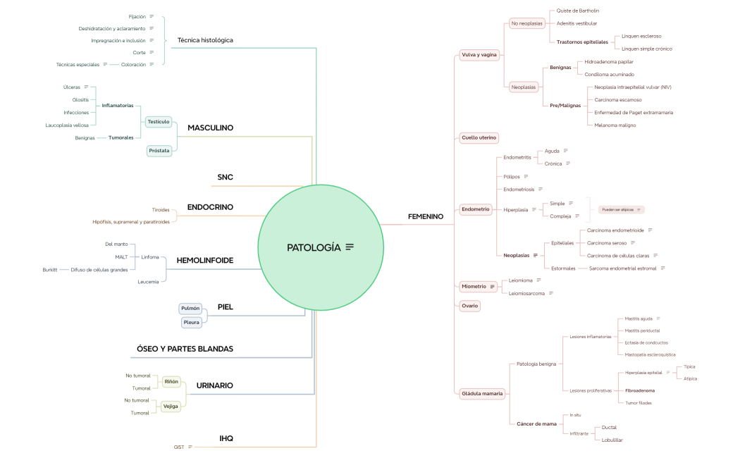 PATO 2 segundo parcial