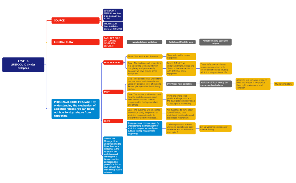 LEVEL 6 LIFETOOL # 10 Choy Chee Yuen.xmind