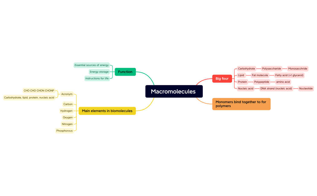 Macromolecules 