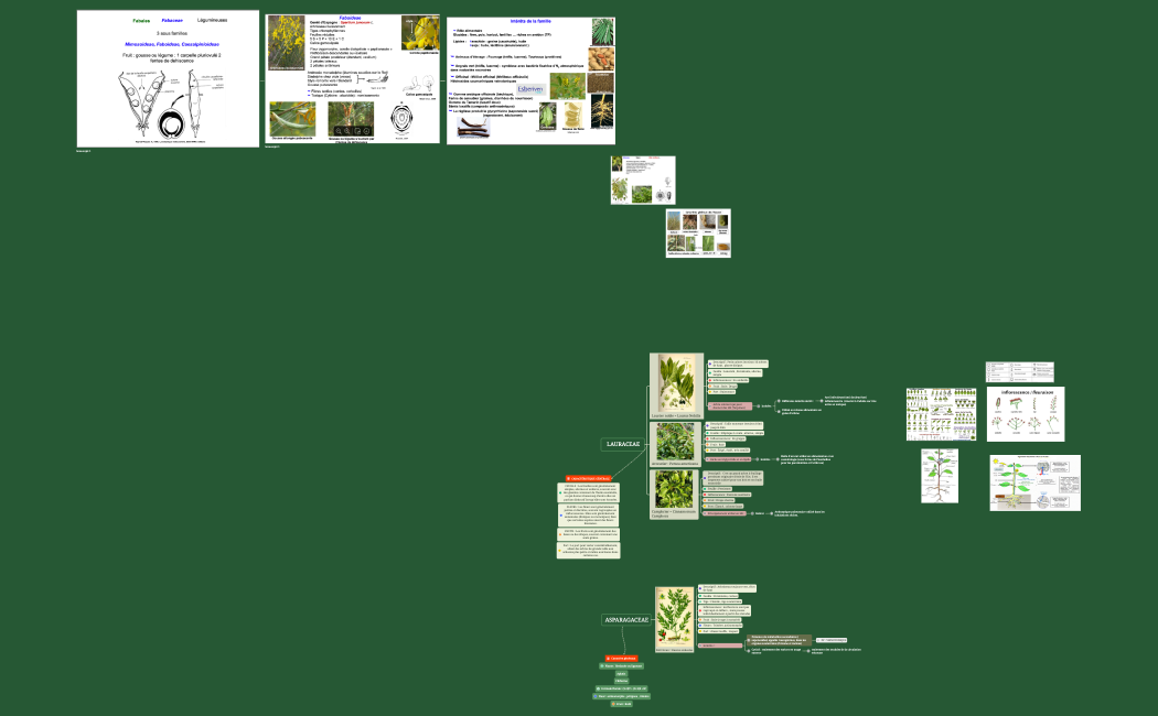 BOTA.xmind 20:20.xmind