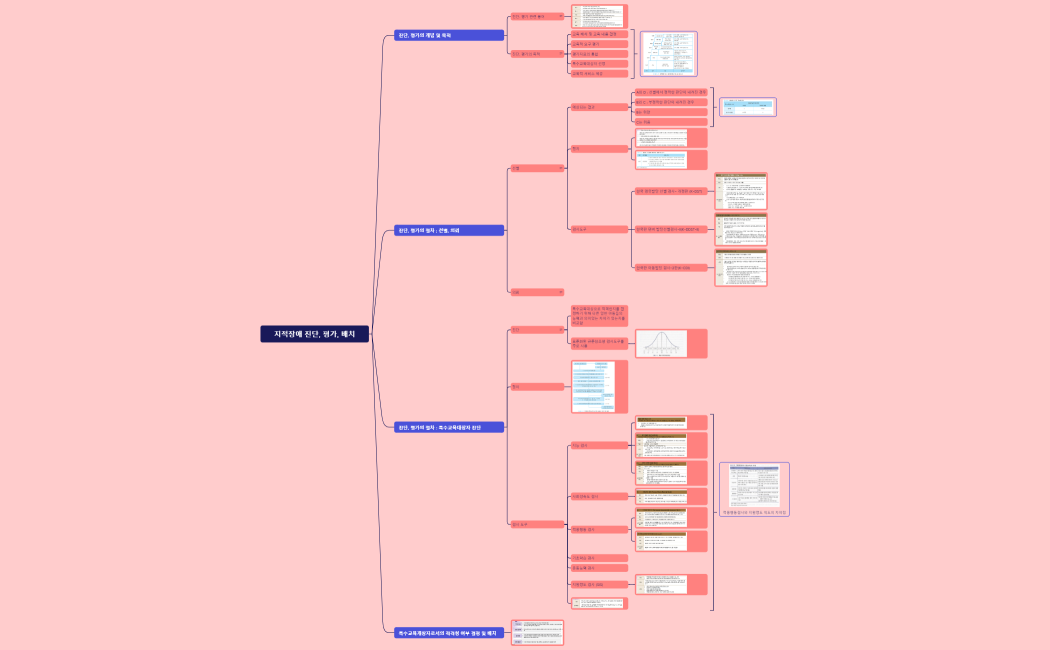 지적장애 진단, 평가, 배치