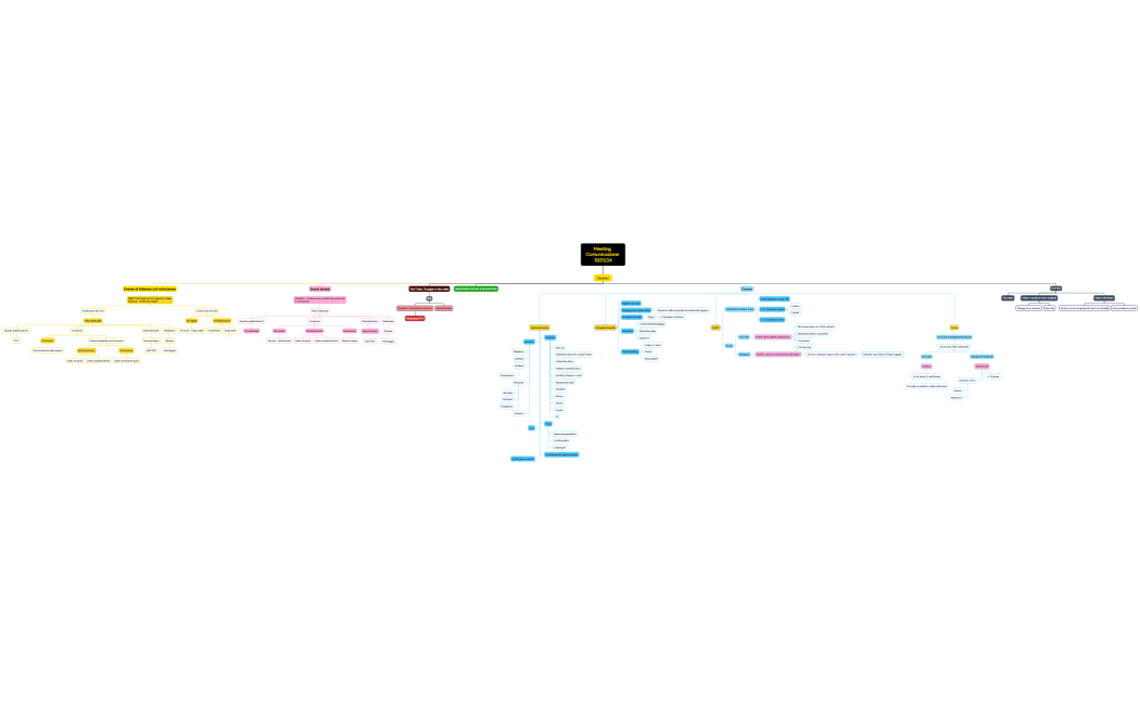 Meeting Comunicazione 100124