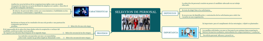 SELECCION DE PERSONAL