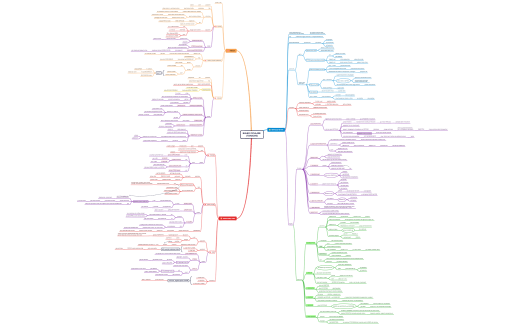 BULBO OCULARE (TONACHE)
