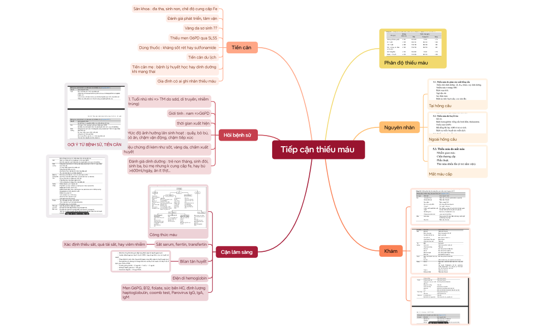 Tiếp cận thiếu máu 
