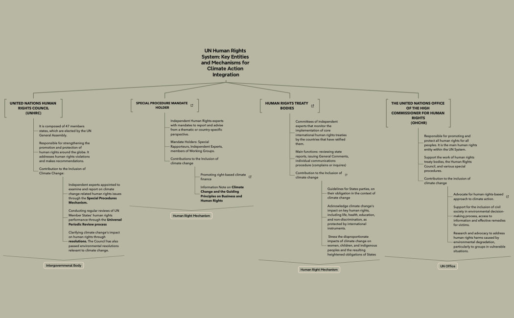 Integrating Climate  Action into Human Rights Frameworks