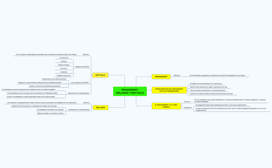 ENGAGEMENT WELLNESS Y SOFT KILLS