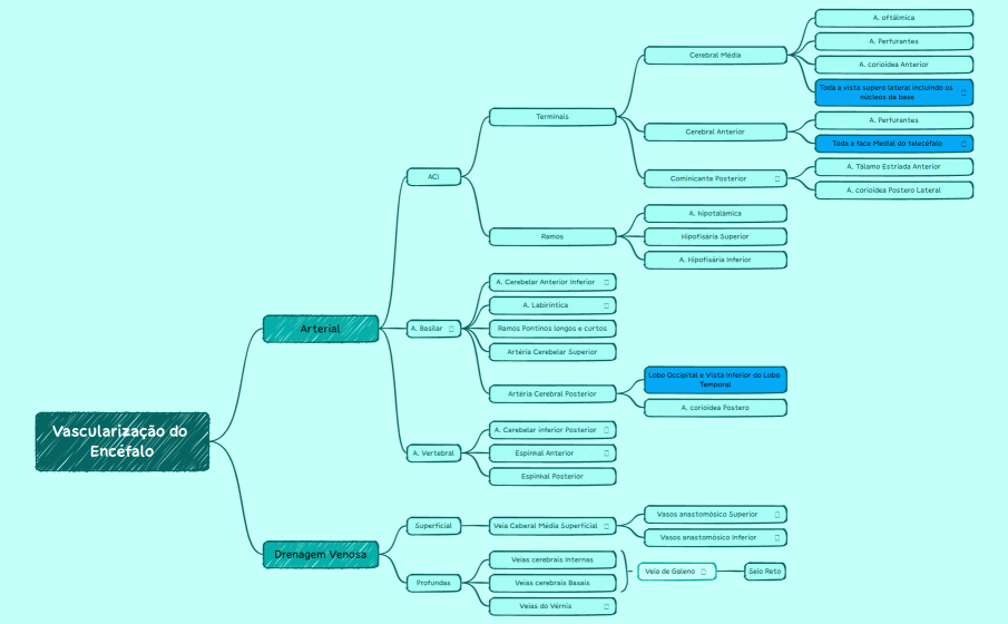 Vascularização do Encéfalo