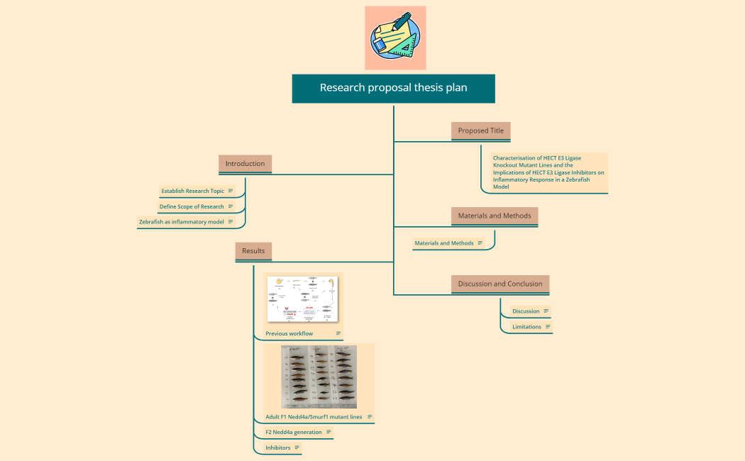 Research proposal thesis plan