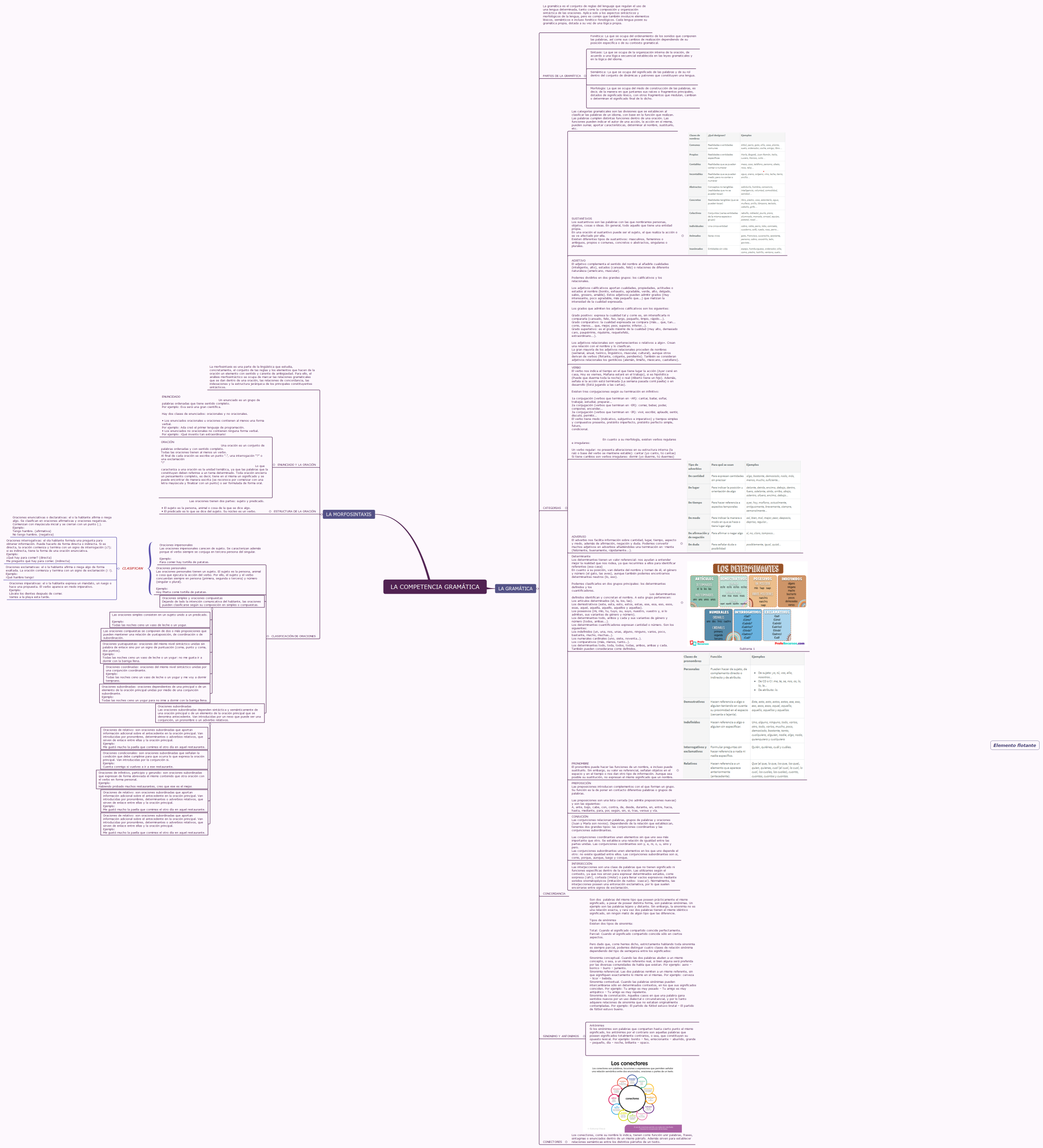 LA COMPETENCIA GRAMÁTICA