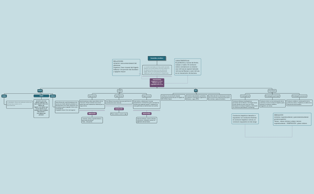 CAPITULO_II_PROCESO_COGNITIVO_DE_APRENDIZAJE-8BAN7y-8nej8Y3-78663