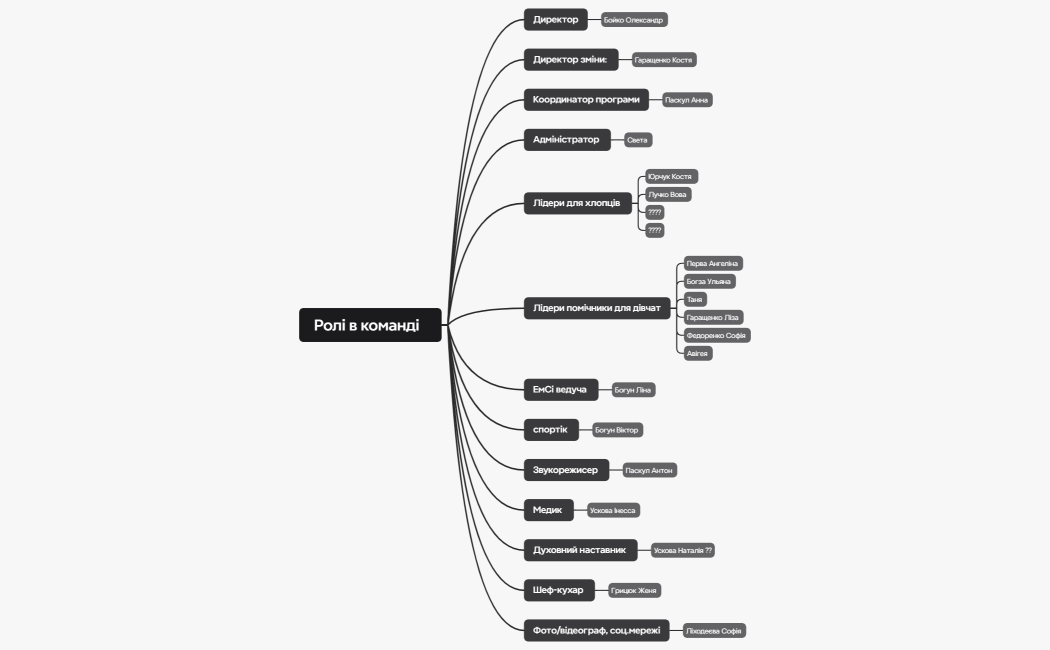 Ролі в команді  