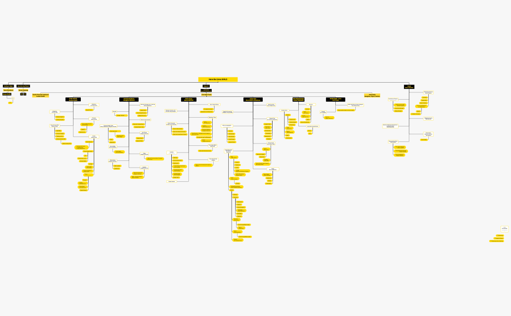Here Be Lions 501c3__Feb2022