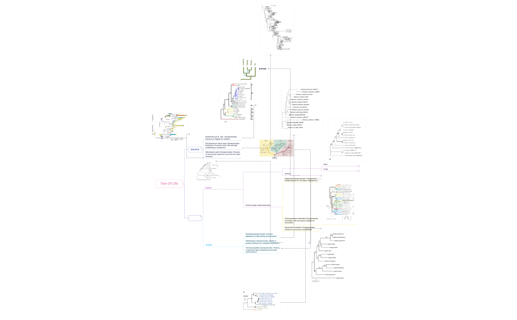 Tree of life 