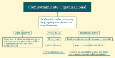 Comportamiento Organizacional