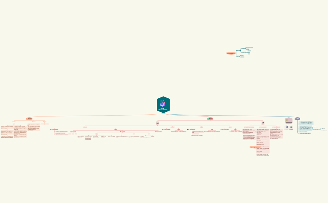 VISUAL MERCHANDISING