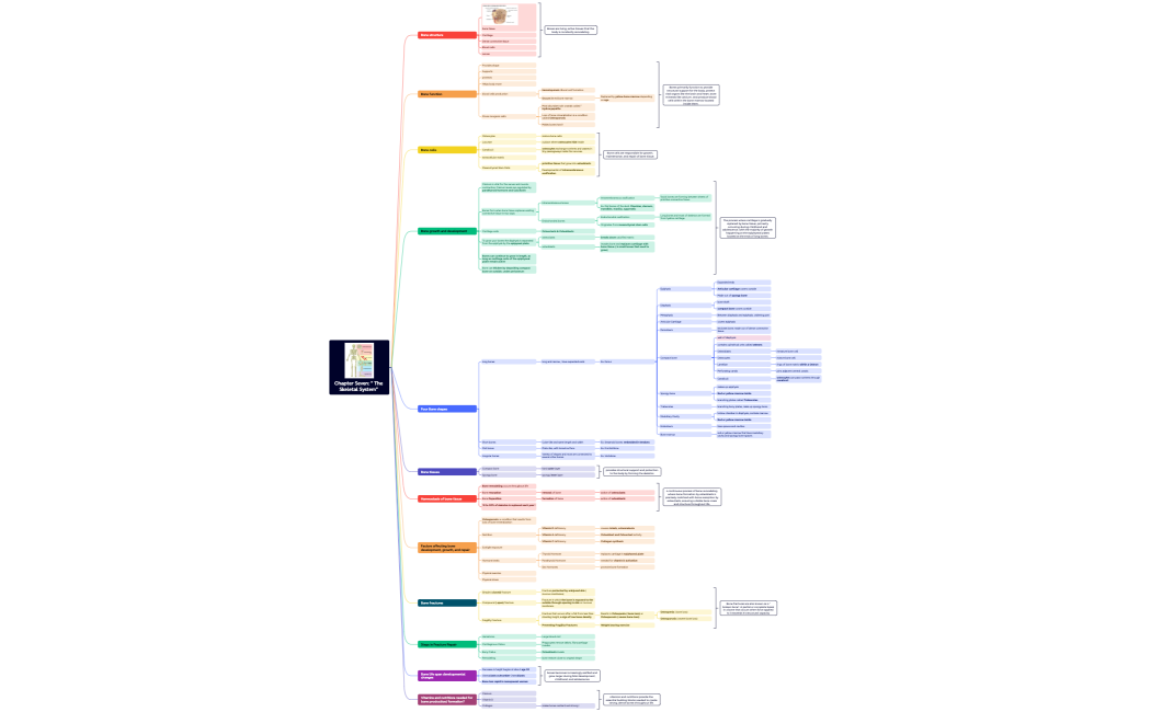 Chapter Seven  The Skeletal System 