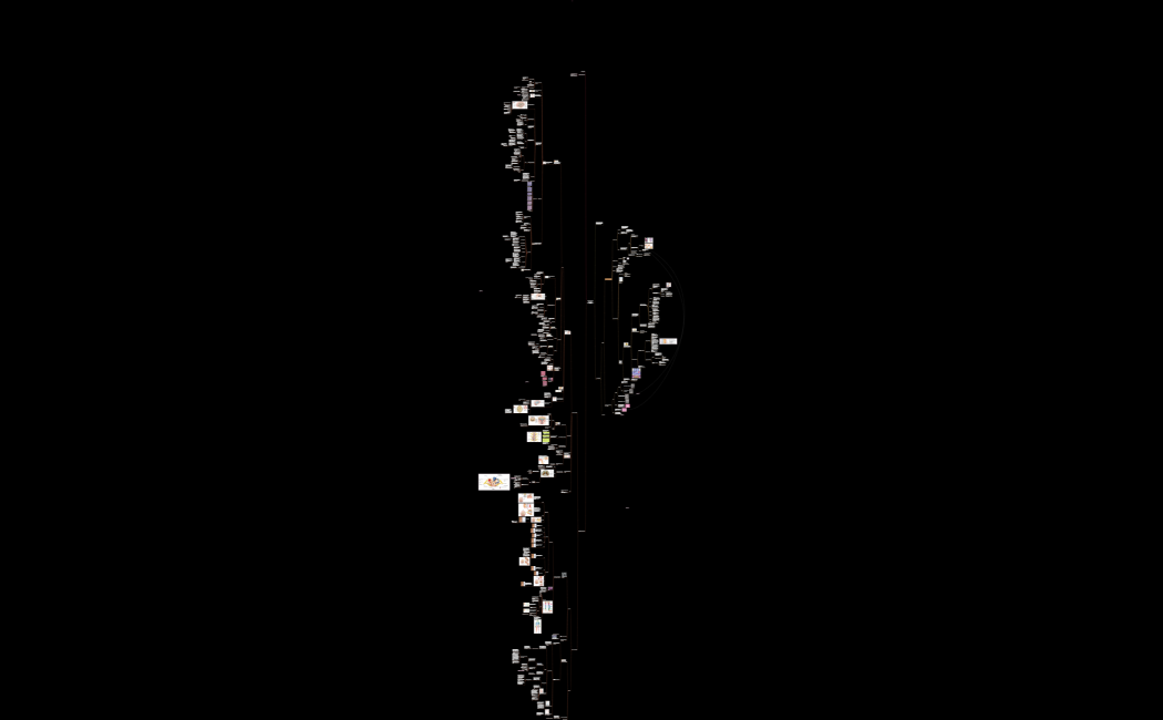 Neuroanatomia, Fisiologia do Sistema Nervoso e Imagens