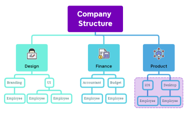 Company Structure