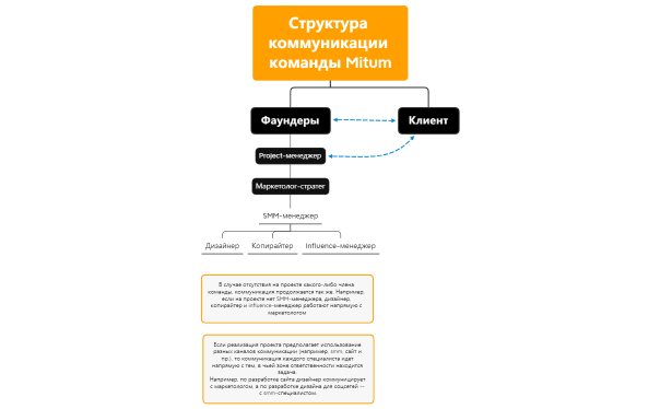 Структура команды Mitum
