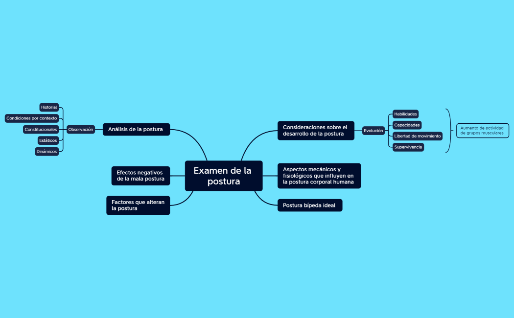 Examen de la postura