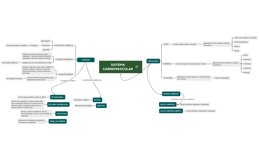 SISTEMA CARDIOVASCULAR  17 DE MARÇO