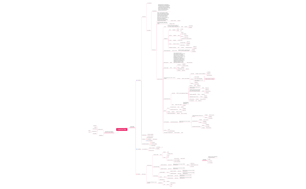 Стратегия Лиза.xmind