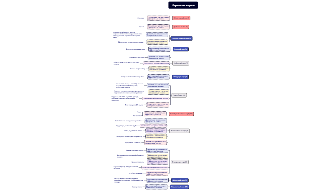 Черепные нервы