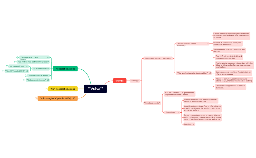 Vulva_3_final_most_detailed-j97qHb-47NtVHC-57671