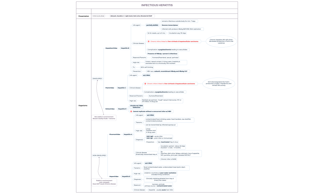 INFECTIOUS HEPATITIS
