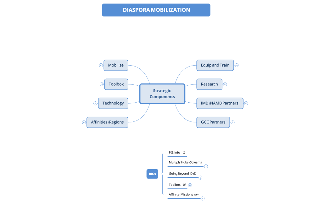 DIASPORA STRATEGIC COMPONENTS.xminda