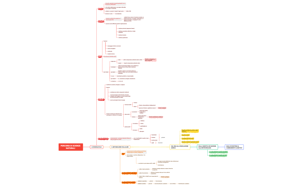 PERCORSI DI SCIENZE NATURALI .xmind