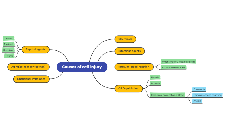 online-maps-xfjbawza-1240995957440