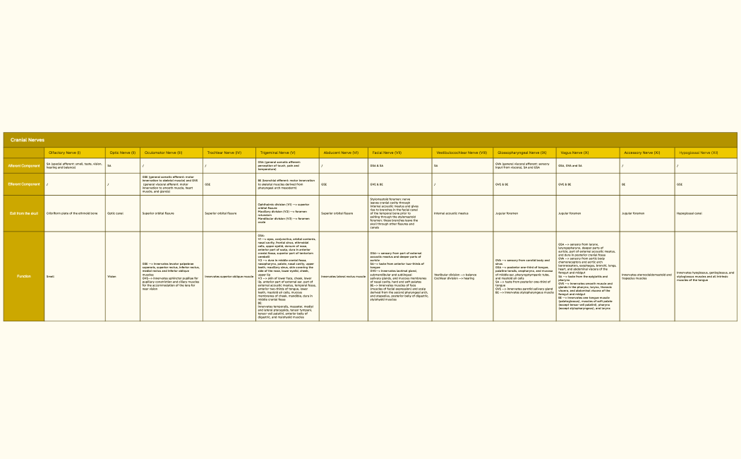 Cranial Nerves MindMap
