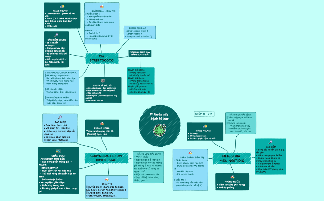 Vi khuẩn gây bệnh hô hấp