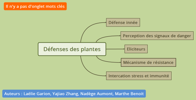 Défenses des plantes