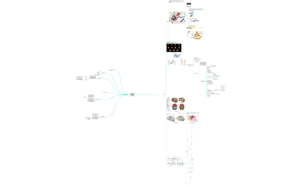Movement Development 