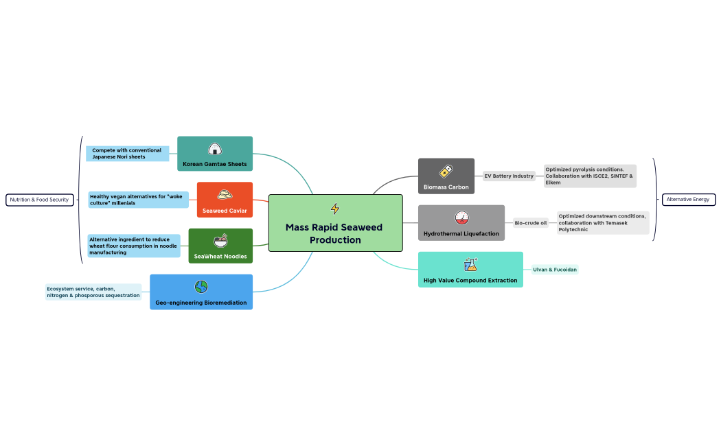 Mass Rapid Seaweed Production-220926173625 (1)