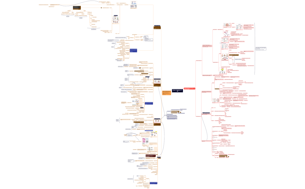Exam 4 Sessions 41-54