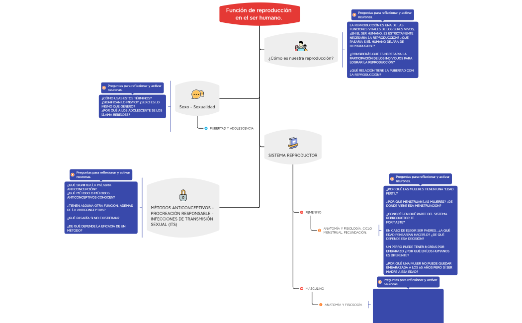 Función de reproducción en el ser humano. 