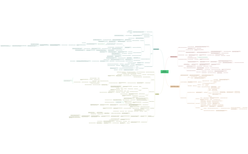 SISTEMA SENSORIALE 2